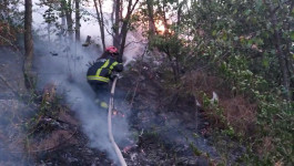 ONA JE VRŠAČKI HEROJ: Mlada Nataša Milić sa kolegama gasila požar na Vršačkim planinama