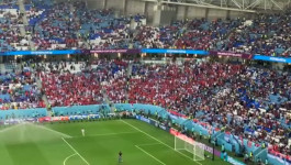 Navijači Srbije na stadionu, pred meč sa Kamerunom u Kataru