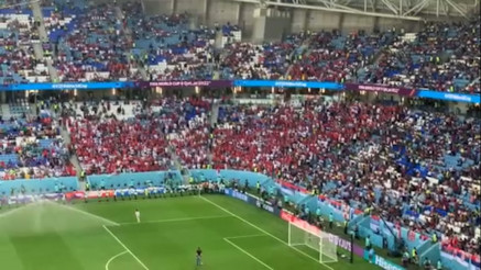 Navijači Srbije na stadionu, pred meč sa Kamerunom u Kataru