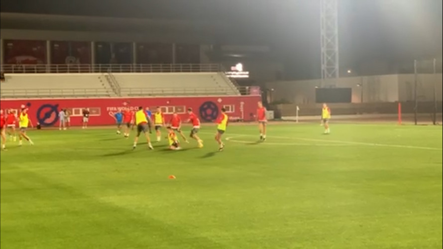 Trening fudbalske reprezentacije Srbije pred meč sa Švajcarskom