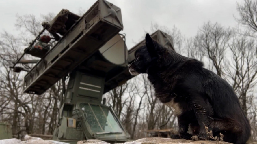 KRZNENI ČLAN RUSKE ARMIJE: Pas Žužik pomaže protivvazdušnoj jedinici ruske vojske