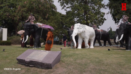 TAJLANDSKA NOVA GODINA: Stotine uživaju u festivalu Songkran i tradicionalnoj borbi sa slonovima